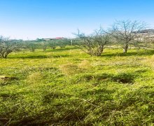 Продажа Дача Гурд дэрэси р., Сумгайыт г.