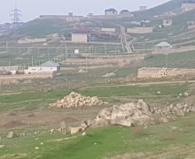 Satılır Torpaq Qobu, Abşeron r.