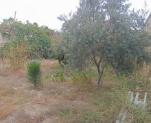 Satılır Torpaq Biləcəri qəs., Binəqədi r.