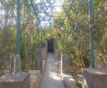 bineqedide heyet evleri/villa Xocaəsən m., Xocəsən qəs., Binəqədi r.