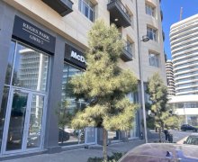 Arenda aylıq obyekt Ağ şəhər, Xətai r.