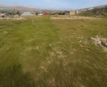 Satılır Torpaq Xırdalan ş. Satılır Torpaq Xırdalan ş.