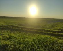 Satılır Torpaq Göyçay ş.