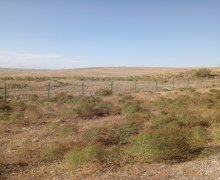 xacmazda torpaq alqi satqisi Xaçmaz ş.