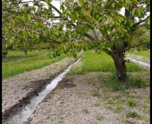 kreditle torpaq alqi satqis Qaradağ r.