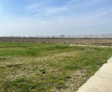 Satılır Obyekt Xaçmaz ş.