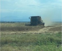 xacmazda torpaq alqi satqisi Xaçmaz ş.