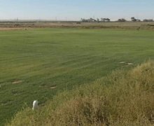 Satılır Torpaq Binə qəs., Xəzər r.