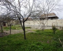 elanlari alqi satqisi elanlari Şəki ş.