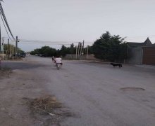 elanlari alqi satqisi elanlari Yeni Suraxanı qəs., Suraxanı r.