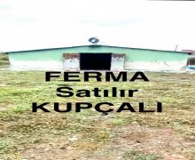 Satılır Obyekt Xaçmaz ş.