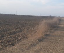 elanlari alqi satqisi elanlari Salyan ş.