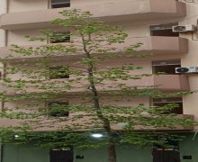 Satılır Yeni Tikili Xırdalan ş.