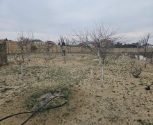 novxanida torpaq satilir Novxanı, Abşeron r.