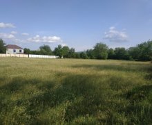 Satılır Torpaq Qəbələ ş.