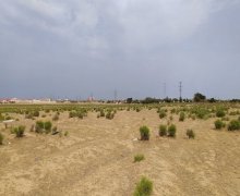 Satılır Torpaq Zabrat qəs., Sabunçu r.