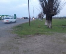 elanlari alqi satqisi elanlari Lənkəran ş.