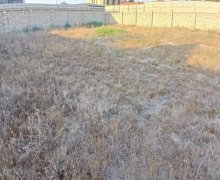 Продажа Участок Шювалан, Хязяр р. Продажа Участок Шювалан, Хязяр р.