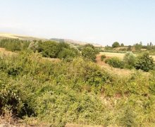 Satılır Torpaq Qəbələ ş.