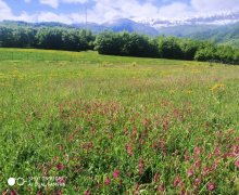 Satılır Torpaq Qusar ş.