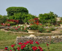 evlerin satisi/villa Sabunçu r.