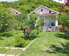 Kirayə (günlük) Həyət evi/villa Qax ş.