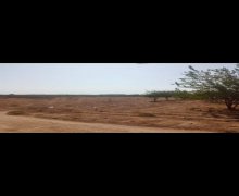 xirdalanda torpaq Xırdalan ş.