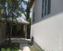Kirayə (günlük) Həyət evi/villa Şəki ş.