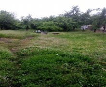 ev elanlari lenkeran/villa Lənkəran ş.