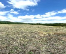 ismayillida torpaq alqi satqisi İsmayıllı ş.