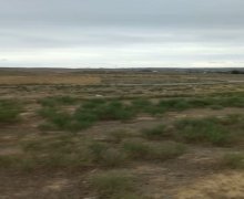 Satılır Torpaq Masazır, Abşeron r.