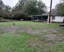 elanlari alqi satqisi elanlari Oğuz ş.