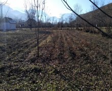 Satılır Torpaq Qusar ş.