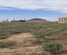 Satılır Torpaq Şirvan ş.