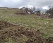 elanlari alqi satqisi elanlari Şamaxı ş.