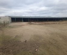 Satılır Obyekt Qobu, Abşeron r.