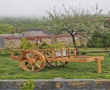 Kirayə (günlük) Həyət evi/villa Qəbələ ş. Kirayə (günlük) Həyət evi/villa Qəbələ ş.