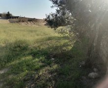 elanlari alqi satqisi elanlari Pirşağı qəs., Sabunçu r.