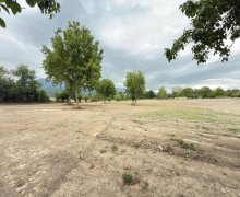 Satılır Torpaq Qəbələ ş.