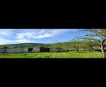 Satılır Torpaq Qəbələ ş.