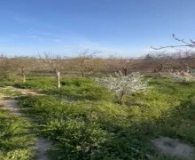 mastagada torpaq alqi satqisi Maştağa qəs., Sabunçu r.