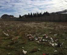 novxanida torpaq satilir Novxanı, Abşeron r.