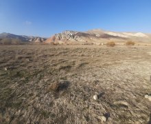 elanlari alqi satqisi elanlari Qobustan ş.