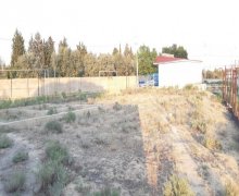 elanlari alqi satqisi elanlari Şirvan ş.