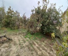 qurd deresi torpaq alqi satqisi Sumqayıt ş.