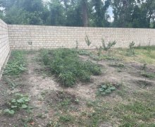 Satılır Bağ evi Şabran ş.