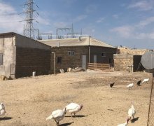 Продажа Объект Гобу, Абшерон р.