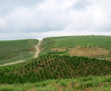 elanlari alqi satqisi elanlari Şamaxı ş.