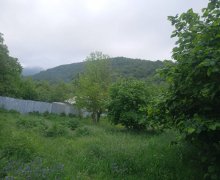 Satılır Torpaq Qəbələ ş.