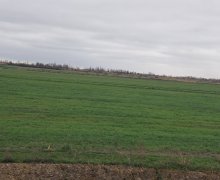 xacmazda torpaq alqi satqisi Xaçmaz ş.